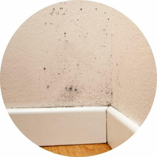 Rising Damp Matheson Damp Services