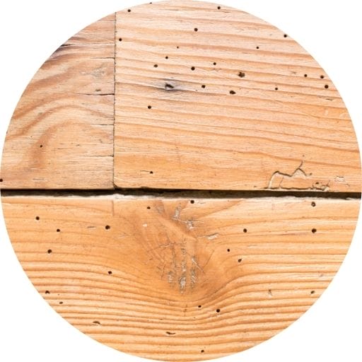 Rising Damp Matheson Damp Services