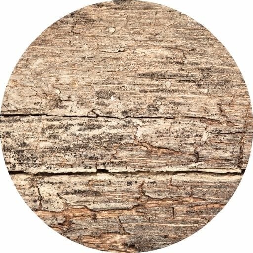 Rising Damp Matheson Damp Services