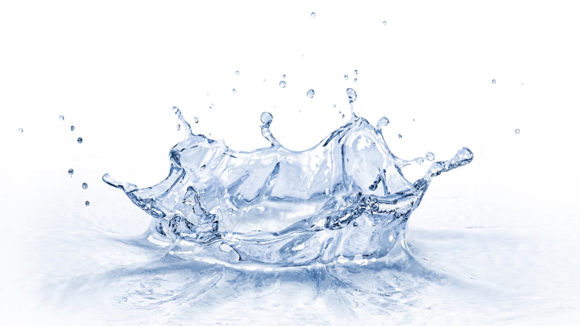 Matheson Damp Services Matheson Damp Services
