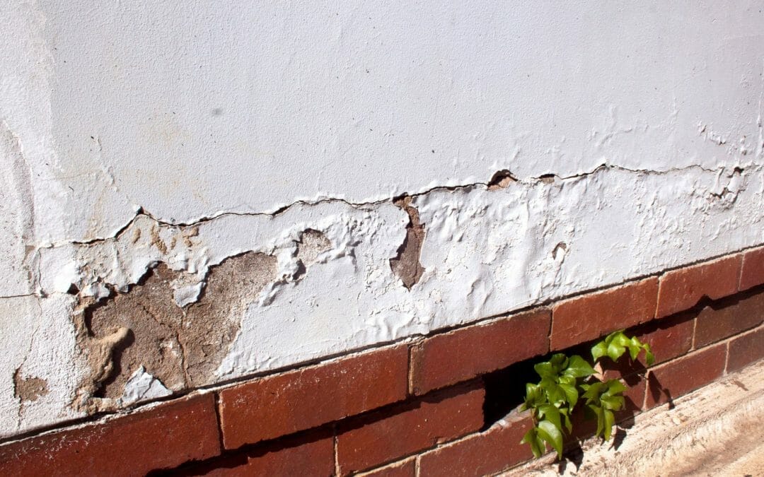 What is Rising Damp?