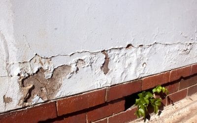 What is Rising Damp?