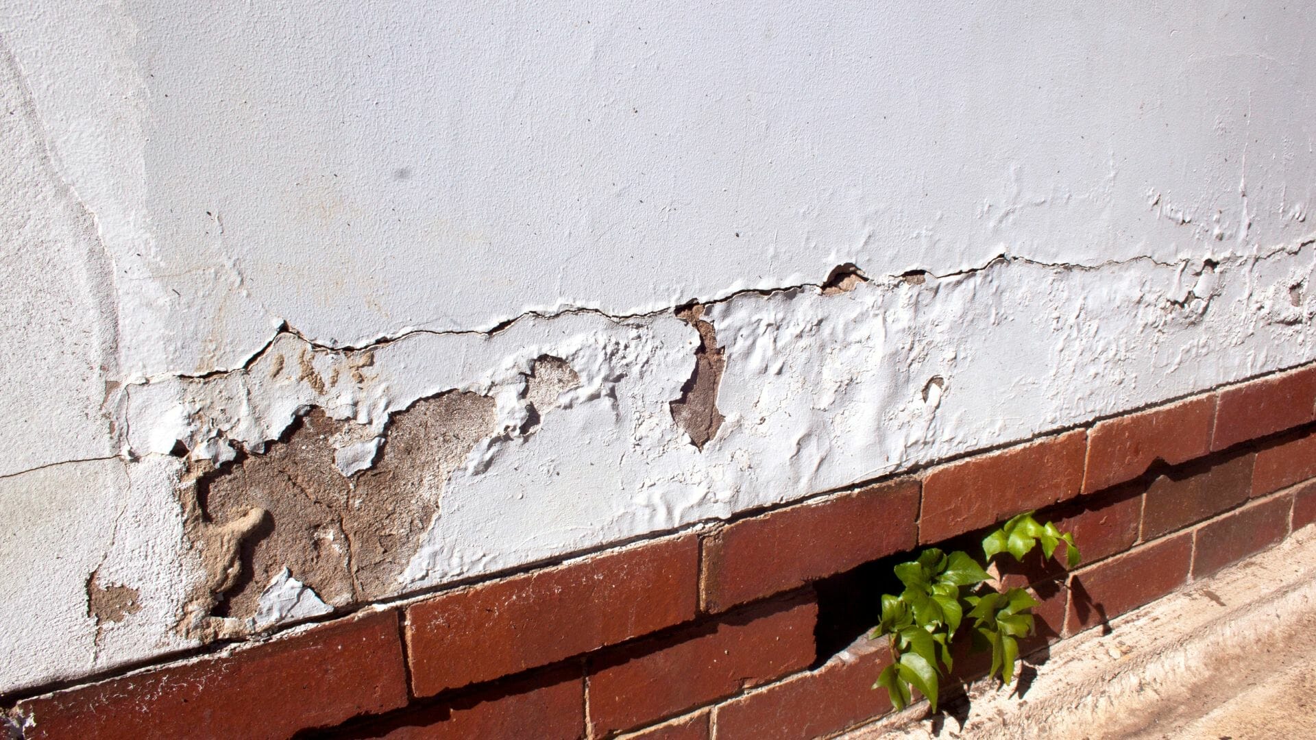 What is Rising Damp? Matheson Damp Services