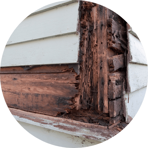 Wet Rot - Damp Specialists in Scotland - Matheson Damp Services Wet Rot - Damp Specialists in Scotland - Matheson Damp Services