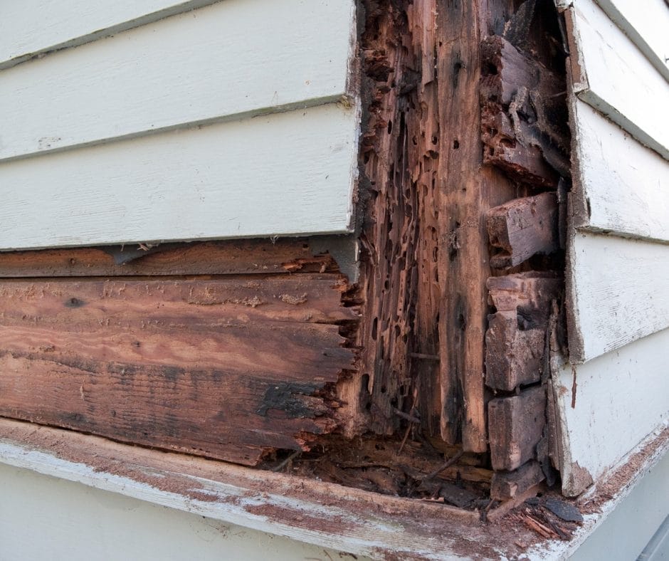 Glasgow Wet and Dry Rot Specialists - Matheson Damp Services 