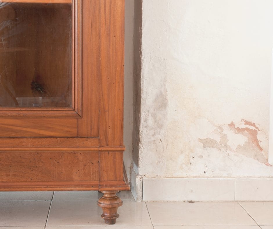 Glasgow Rising Damp Specialists - Matheson Damp Services