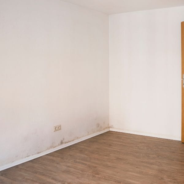 Rising Damp Edinburgh - Matheson Damp Services