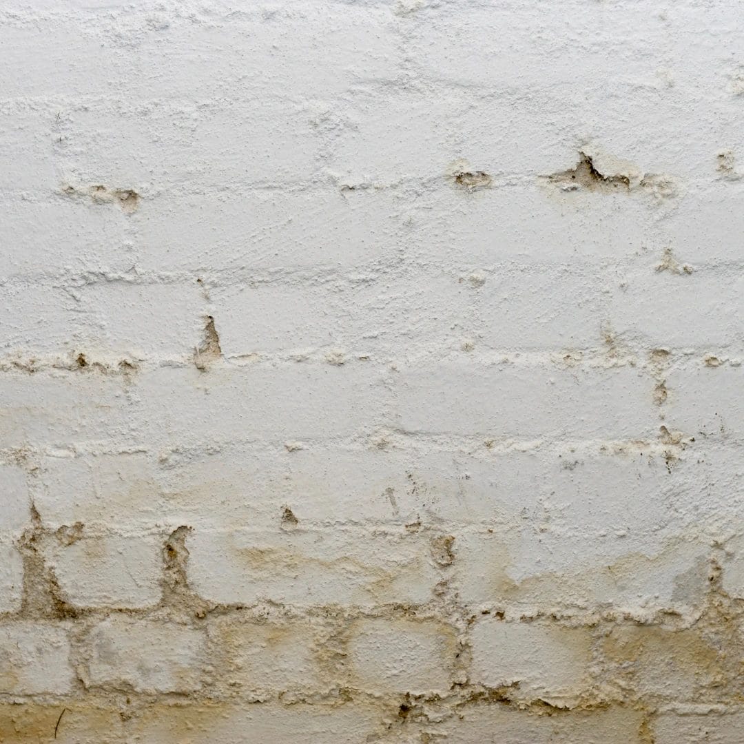 Basement Waterproofing Kilmarnock - Matheson Damp Services