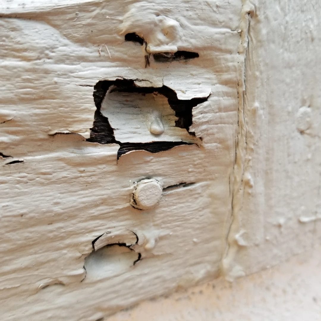 Wet and Dry Rot Kilmarnock - Matheson Damp Services