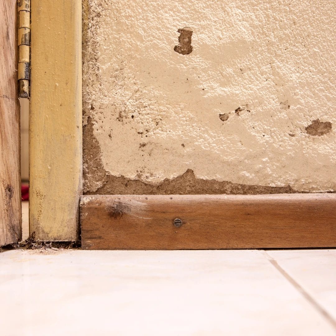 Rising Damp Kilmarnock - Matheson Damp Services